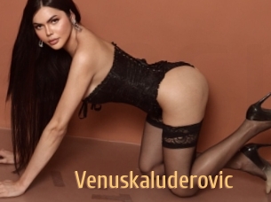 Venuskaluderovic