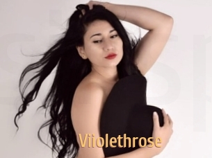 Viiolethrose