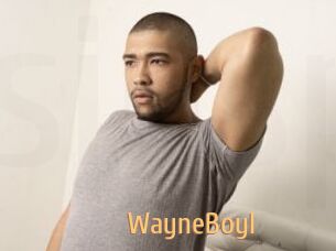 WayneBoyI