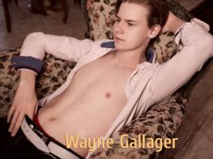 Wayne_Gallager