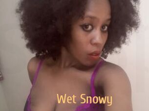 Wet_Snowy