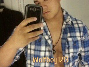 Wolfboy1213