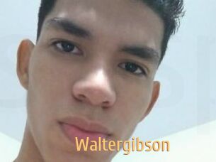 Waltergibson