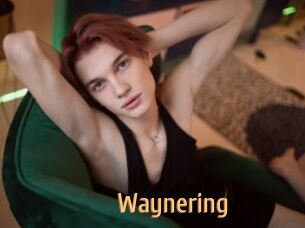 Waynering