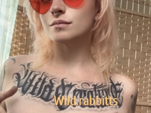 Wild.rabbitts