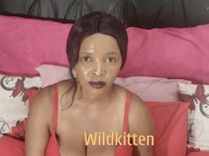 wildkitten Single Spass