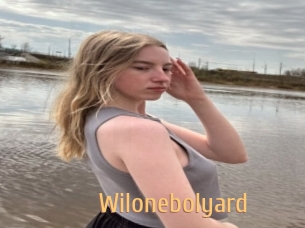 Wilonebolyard