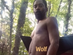 Wolf
