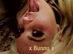 _x_Bunny_x_