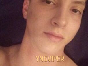 YNGVIPER