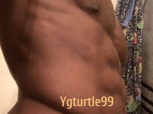 Ygturtle99