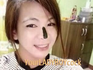YourLADYBOYcock