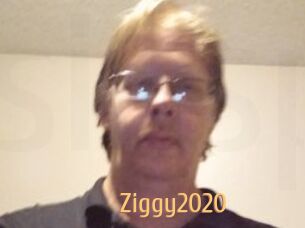 Ziggy2020