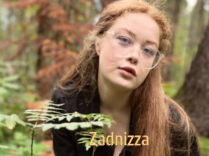 Zadnizza