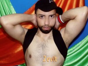 Zevit