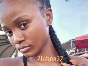 Ziebea22